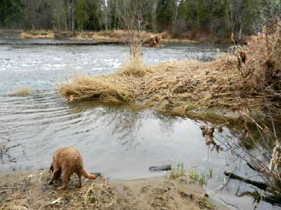 West Daybreak Stream Channel