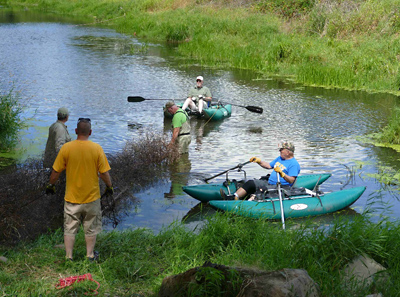 Fish Predator Protection and Cover For Rearing Channel