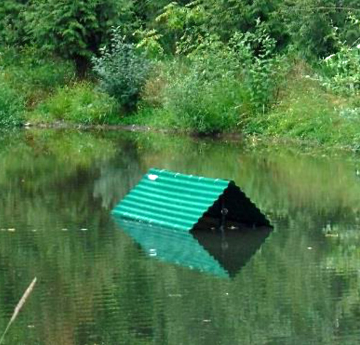 Grace Lodge salmon fry rearing pool