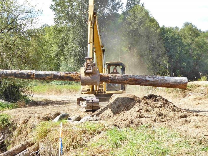 Logs Being Placed in Stream Bank Slots