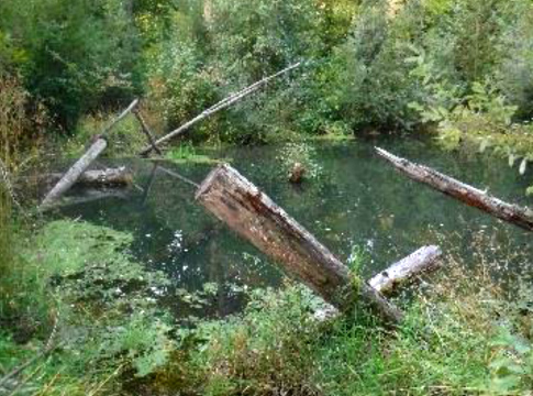 Pleasant Valley Spring fed pool improvement