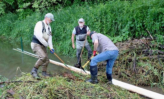 Summer Field Season