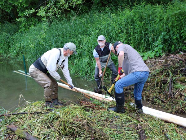 Winter 2021 News and Planning Update