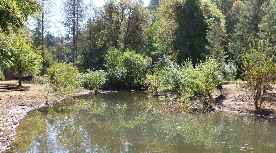 Winter 2021 News and Planning Update