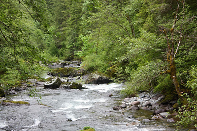 Close Call For The East Fork