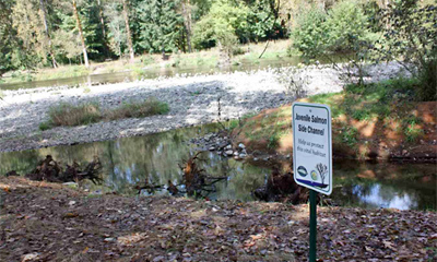 WD Side-channel outlet with East Fork Lewis River