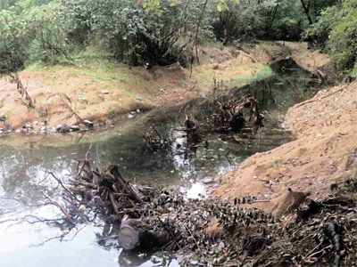 Fish First Side-channel View Up-channel